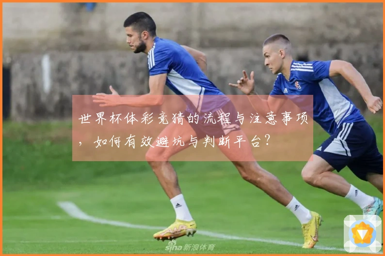 世界杯体彩竞猜的流程与注意事项,如何有效避坑与判断平台?