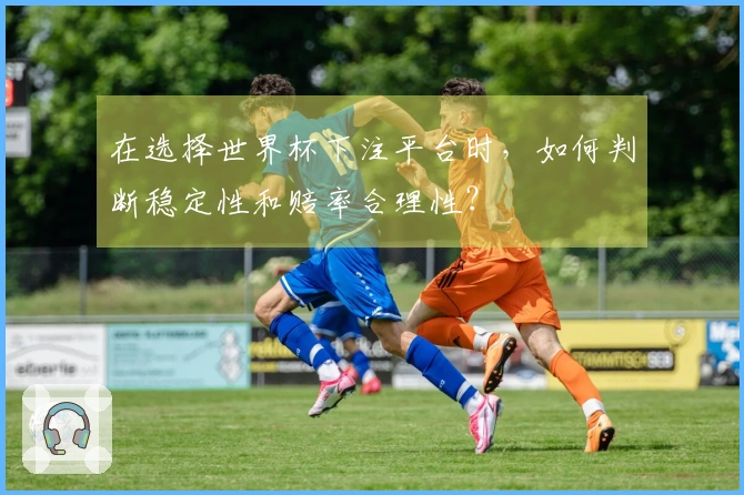 在选择世界杯下注平台时,如何判断稳定性和赔率合理性?