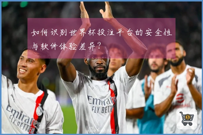 如何识别世界杯投注平台的安全性与软件体验差异?